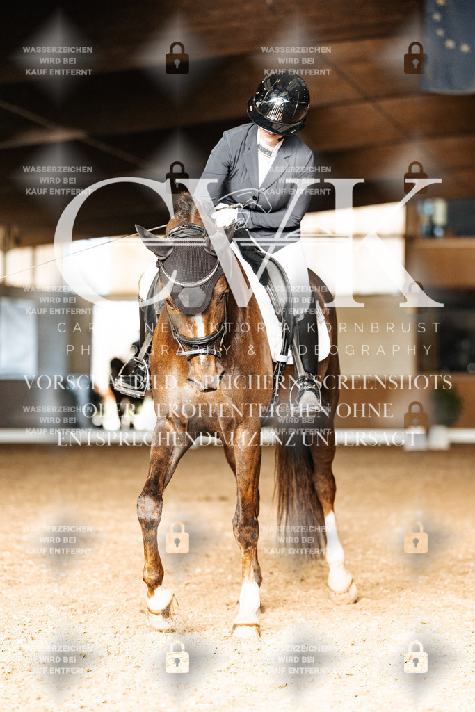 CK902762 | Turnierfotografie Pferdefotografie Trier Rheinland-Pfalz Pferdesport Reitsport Tierfotografie Sportfotografie Pferdevideo Pferdevideografie Equestrianvideography equestrianphotography  - Realisiert mit Pictrs.com
