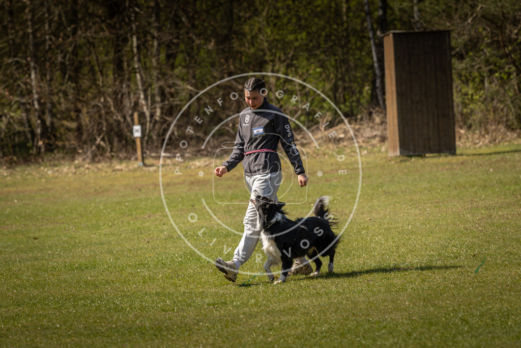 Pfotenfotografie_DV3A1161 | Hundefotografie, Tierfotograf, Pfotenfotografie, Fotoshooting Hund, Hunde Portrait, Hundesport, Hundeportraits, Heideshooting, Hunde, Sportfotograf, Hundefotograf, Turnierhundsport, THS,  - Realisiert mit Pictrs.com