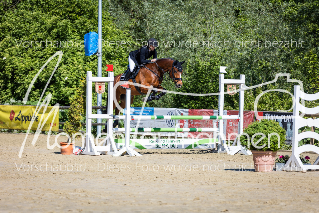 Donop24-A2Spr-097 | MomenTaufnahmen Pferdesportfotos