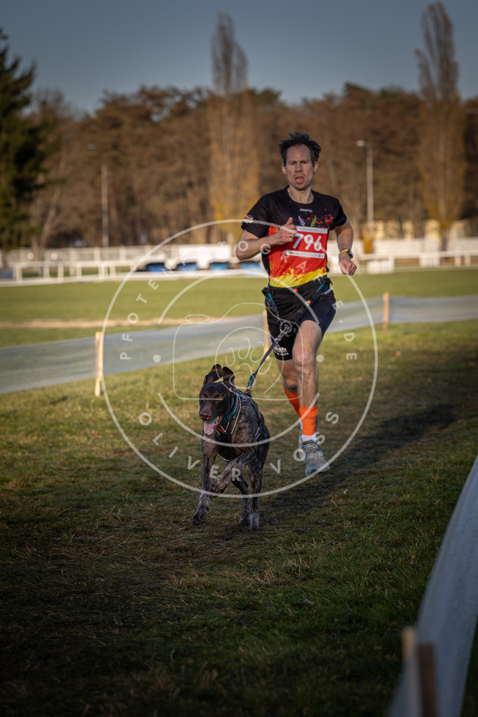 CaniXpix_DV3A2868 | Hundefotografie, Tierfotograf, Pfotenfotografie, Fotoshooting Hund, Hunde Portrait, Hundesport, Hundeportraits, Heideshooting, Hunde, Sportfotograf, Hundefotograf, Turnierhundsport, THS,  - Realisiert mit Pictrs.com