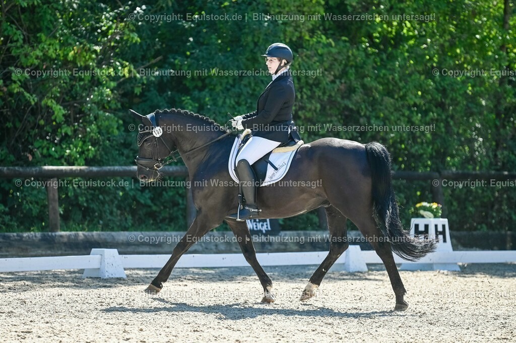 20230908_06_Dressur-L-Trense_0684 | equistock