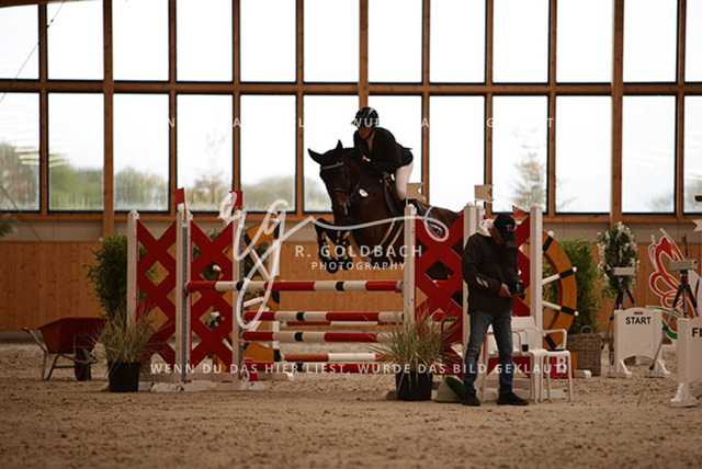 1J2A3785Sarah May_ Daiquirih_ Kn201_ Hohen Wieschendorf_ Glantz | Foto- und Videografie für alles rund ums Pferd. Hochwertige Bilder und Videos vom Spring- und Dressurreiten, Voltigieren & mehr. Jetzt aktuelle Veranstaltungen und Preise im Shop ansehen. - Realisiert mit Pictrs.com