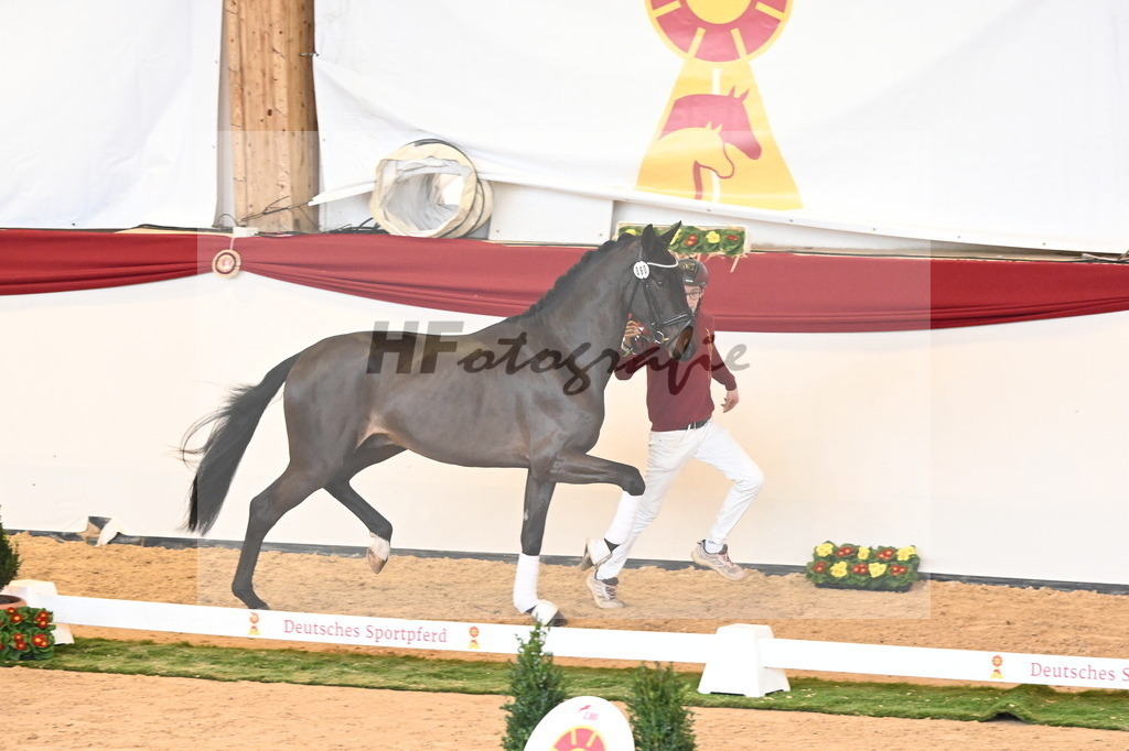 Kat.-Nr. 60 v. Raven_Klakow_2240747 | hf-fotografie - Realisiert mit Pictrs.com