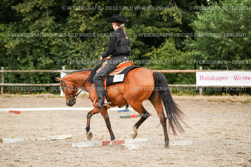 DSC08237 | Pferdegrafie