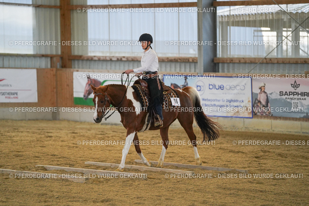 DSC09039 | Pferdegrafie