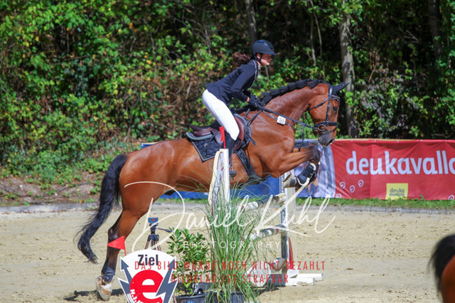 DKP43197 | Turniersportfotografie; Pferdefotografie; Dressurfotografie