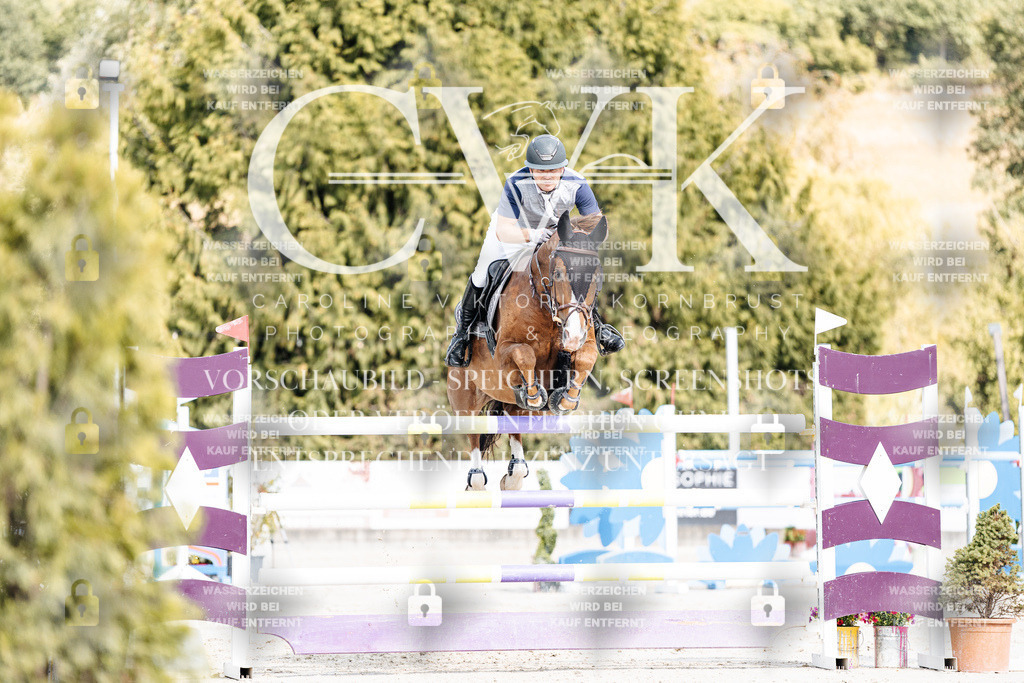 CK908987 | Turnierfotografie Pferdefotografie Trier Rheinland-Pfalz Pferdesport Reitsport Tierfotografie Sportfotografie Pferdevideo Pferdevideografie Equestrianvideography equestrianphotography  - Realisiert mit Pictrs.com