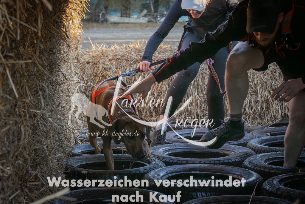0929_ZZ93201-Verbessert-RR | kk-dogfotos