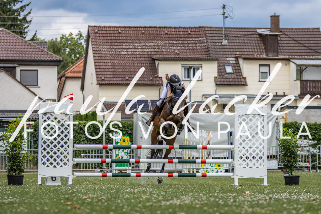 IMG_7479 | Erleben Sie dynamische Sport- und emotionale Tierfotografie in Süddeutschland mit Fotos von Paula. Spezialisiert auf Pferde- und Hundefotografie sowie Sportevents. Kontaktieren Sie mich für einzigartige und ausdrucksstarke Bilder Ihrer besonderen Momente. - Realisiert mit Pictrs.com