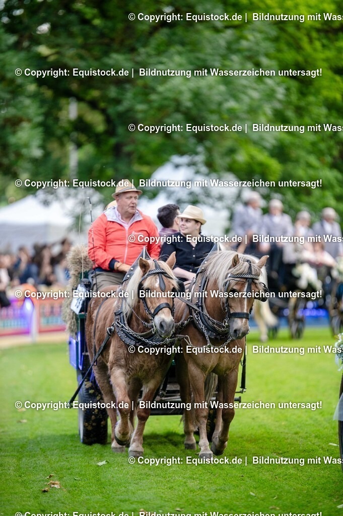 20250606_Lange-Pferdenacht_0204 | Foto: Thomas Hartig