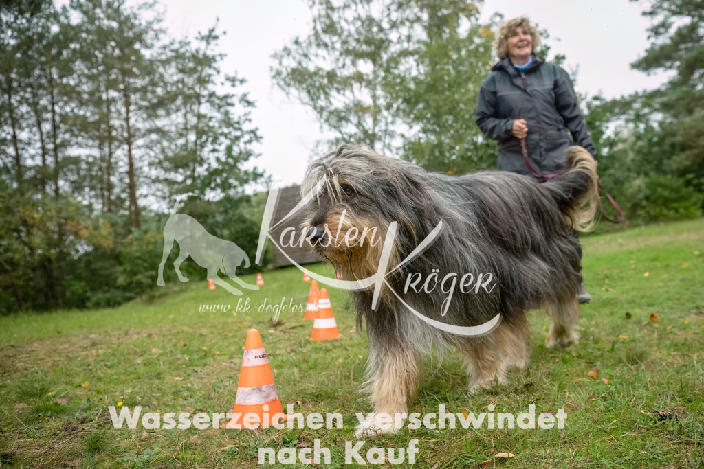 0951_ZZ91007-Bearbeitet | kk-dogfotos