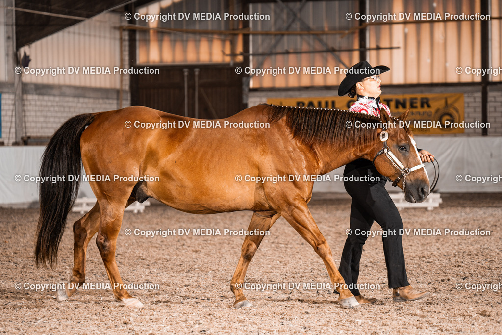 ZH200161 | dv-media-shop - Realisiert mit Pictrs.com