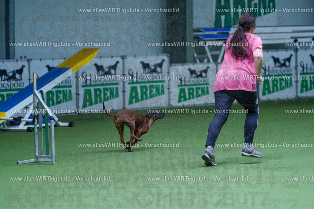 @allesWIRTHgut_Tierfotografie - www.allesWIRTHgut.de - 2604251236-7R502206 | Professionelle Tierfotografie in Mönchengladbach von Daniel Wirth (allesWIRTHgut). Liebevolle & natürliche Bilder von Hunden & Katzen für unvergessliche Erinnerungen.