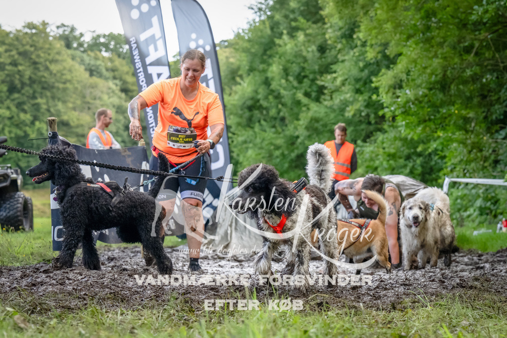1154_ZZ90186-Bearbeitet | kk-dogfotos