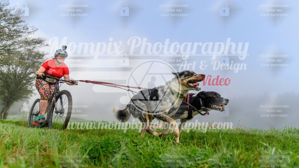 MompixPhotography_20TSB_E5_DS2-14 | PayLife