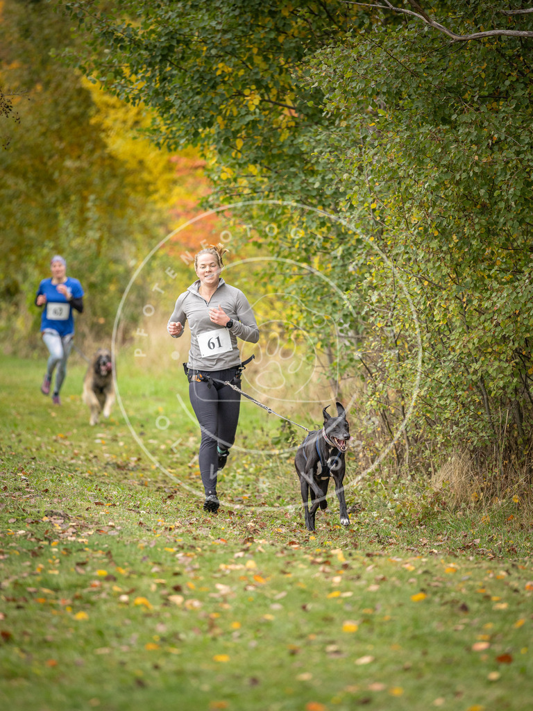 Pfotenfotografie_DV3A2669 | Hundefotografie, Tierfotograf, Pfotenfotografie, Fotoshooting Hund, Hunde Portrait, Hundesport, Hundeportraits, Heideshooting, Hunde, Sportfotograf, Hundefotograf, Turnierhundsport, THS,  - Realisiert mit Pictrs.com