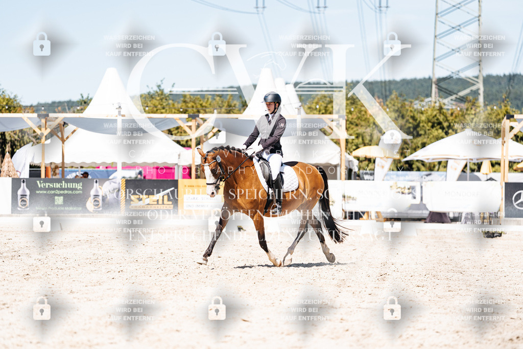 CK900245 | Turnierfotografie Pferdefotografie Trier Rheinland-Pfalz Pferdesport Reitsport Tierfotografie Sportfotografie Pferdevideo Pferdevideografie Equestrianvideography equestrianphotography  - Realisiert mit Pictrs.com