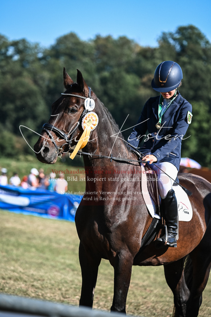 DSC_7121 | Pferde- und Turnierfotografie in Westsachsen. Pferdeportraits, Auftragszeichnungen und intuitive Kunst.