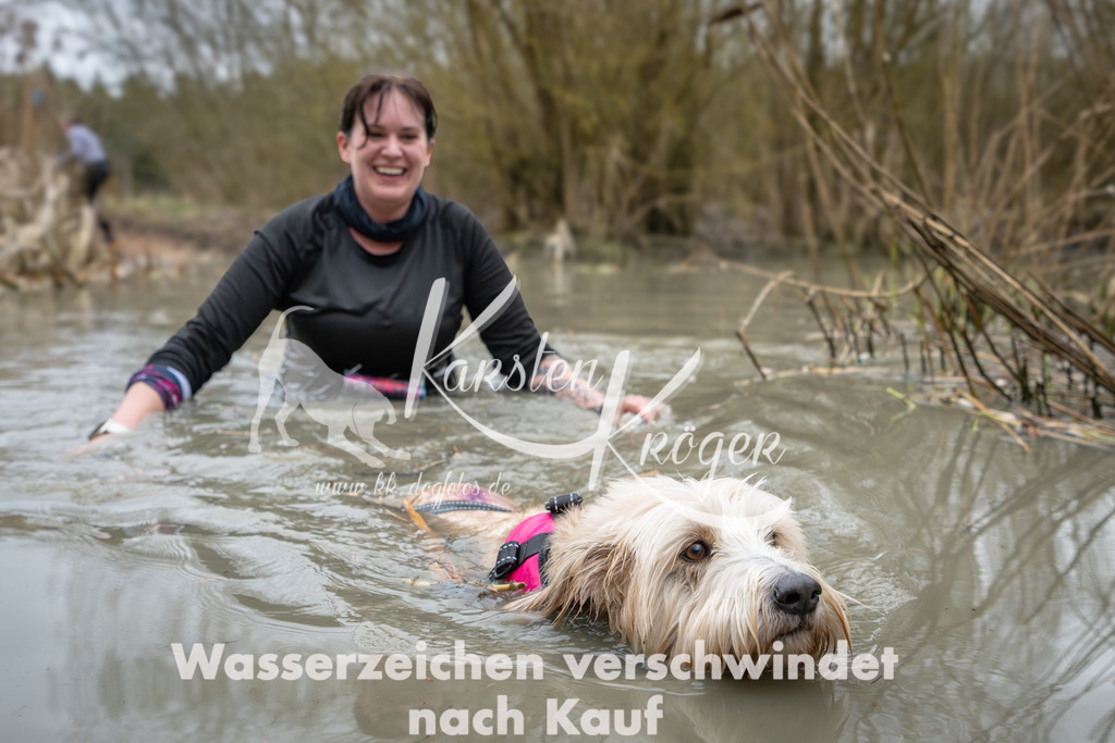 1343_ZZ91911 | kk-dogfotos