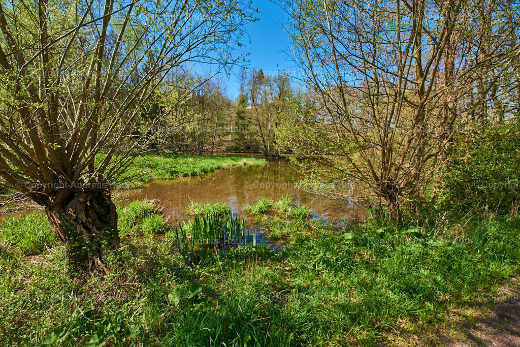 Im Triebischtal bei Neutanneberg 09 | Bedeutsame Landschaften Deutschlands - Realisiert mit Pictrs.com
