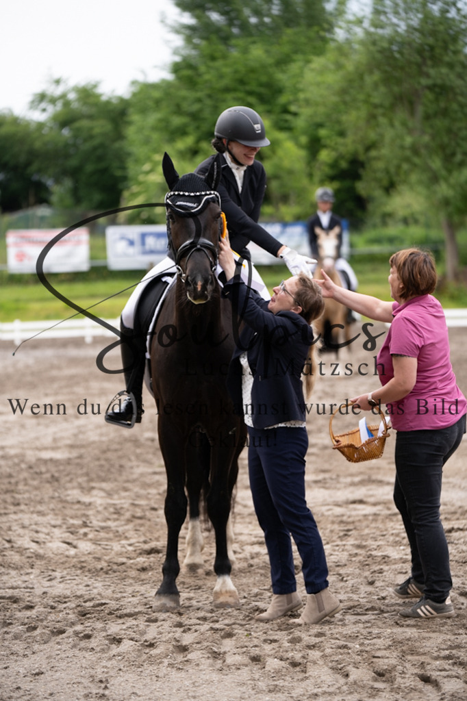 A7V03819 | Pferdefotograf