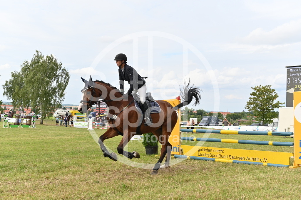 DSC_3763 | sattelsport - Realisiert mit Pictrs.com