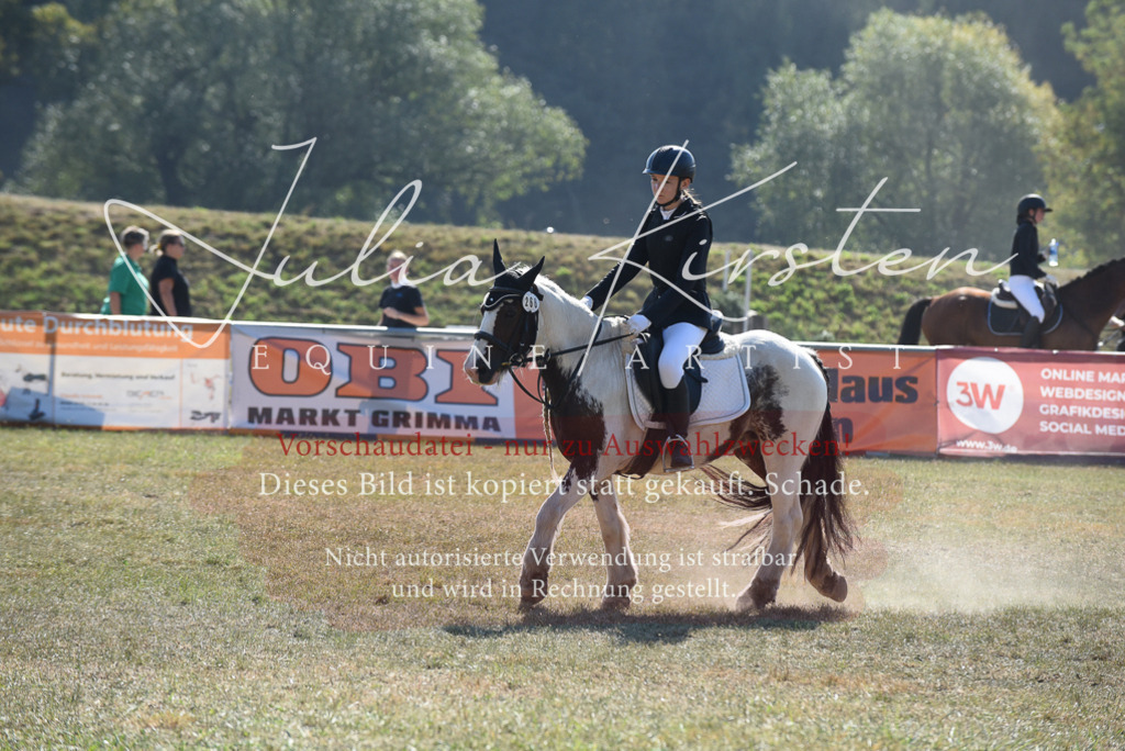 DSC_6085 | Pferde- und Turnierfotografie in Westsachsen. Pferdeportraits, Auftragszeichnungen und intuitive Kunst.