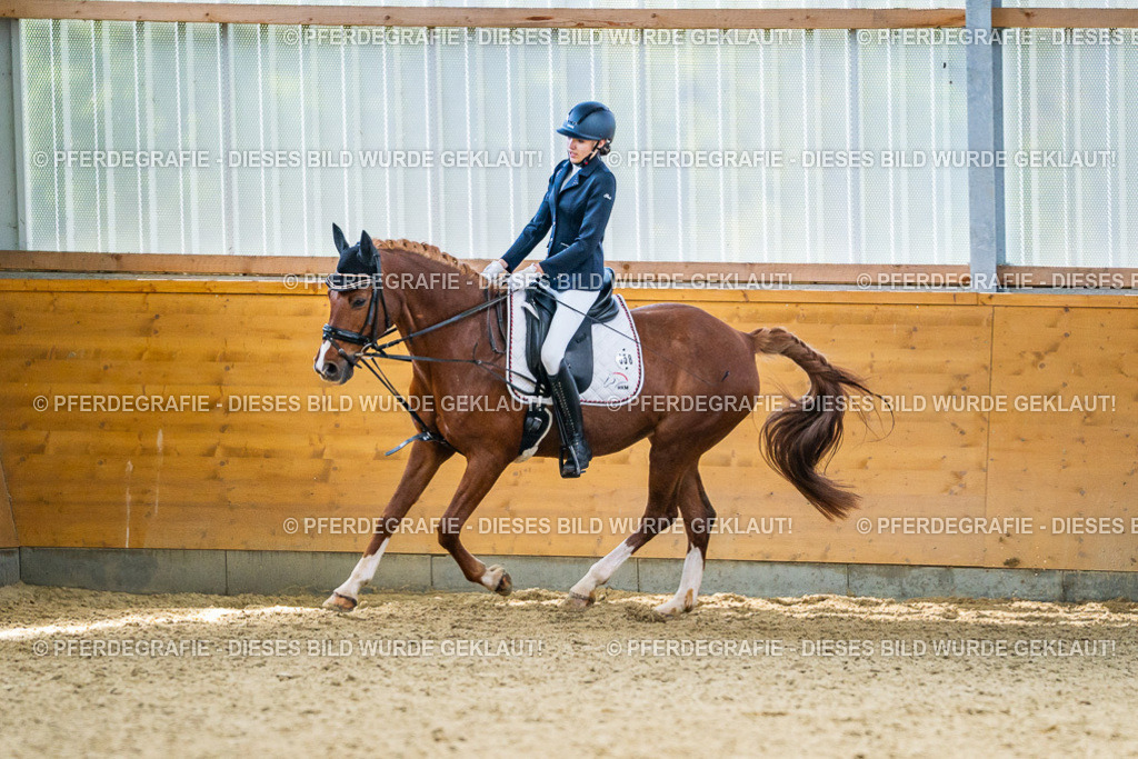 DSC04590 | Pferdegrafie