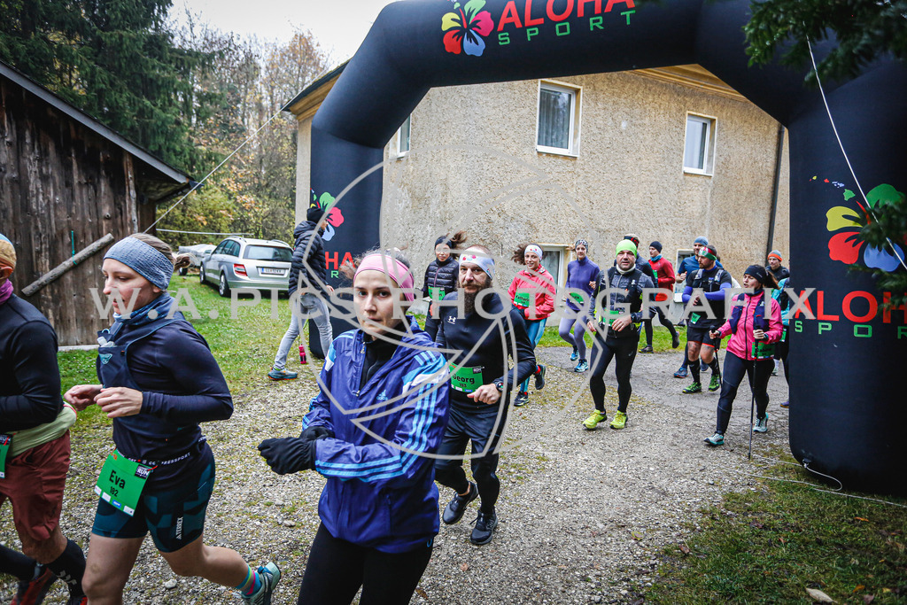 ..... | LEONDING,AUSTRIA,8.November 25, Kürnberglauf 2025  , Image shows: Photo: WAPICS / Andreas Willdoner