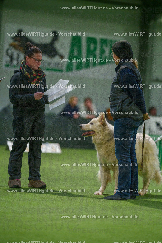 7R504249 | Professionelle Tierfotografie in Mönchengladbach von Daniel Wirth (allesWIRTHgut). Liebevolle & natürliche Bilder von Hunden & Katzen für unvergessliche Erinnerungen.
