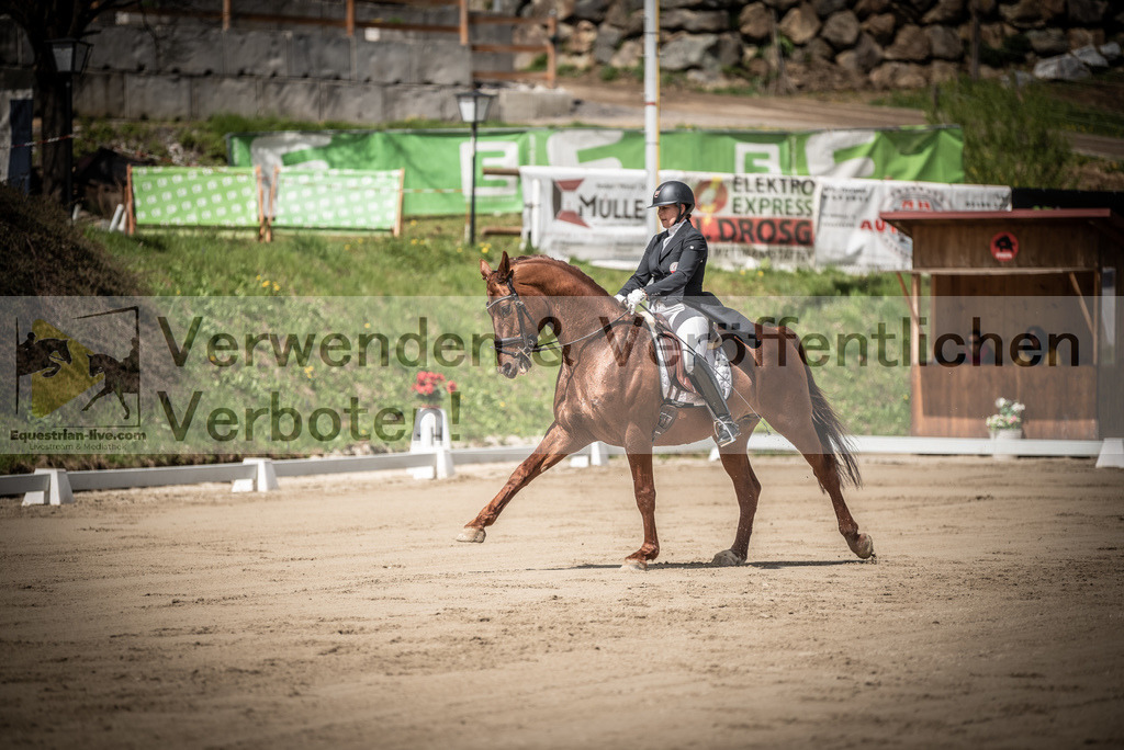 DSC_1569 | equestrian-live-com