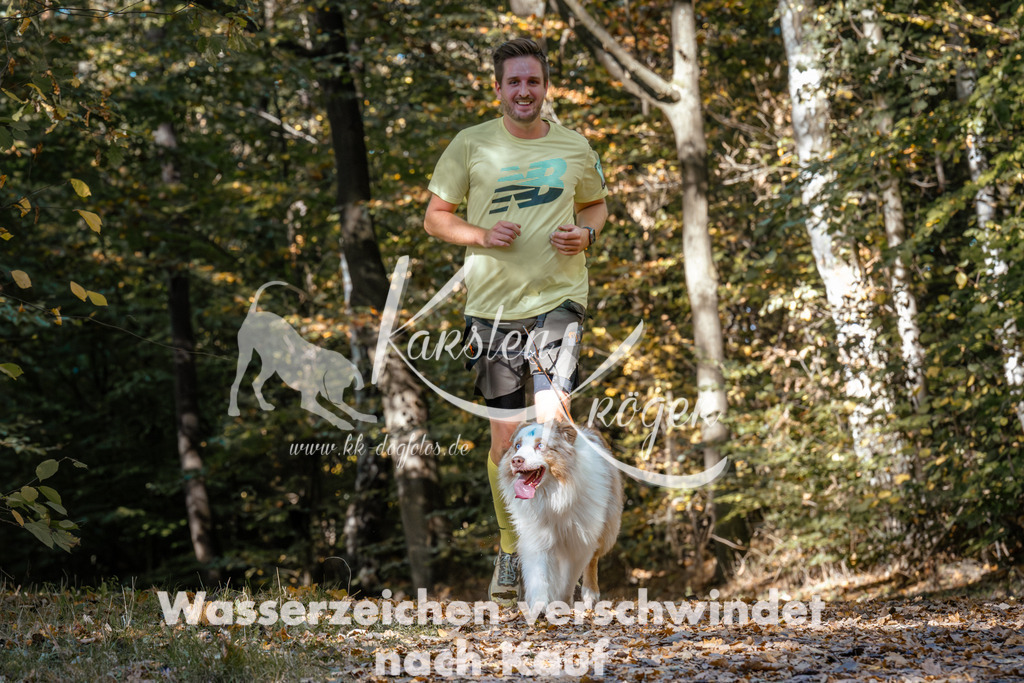 1231_ZZ95468 | kk-dogfotos