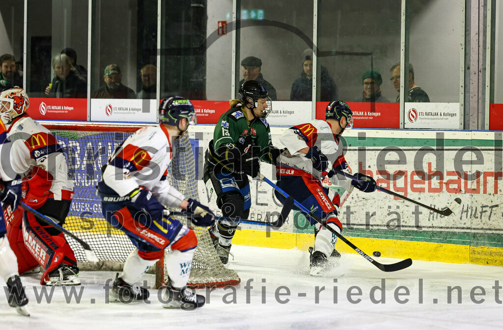 2023-02-19_076_TSV_Erding_gegen_VfE_Ulm-Neu-Ulm | Erding, Deutschland, 19.02.2023:
Eishockey, Bayernliga Meisterrunde Gruppe B 2022 / 2023, 5. Spieltag, TSV Erding gegen VfE Ulm/Neu-Ulm, Endergebnis: 

Michael Franz (Erding Gladiators, #13)

Foto: Christian Riedel / fotografie-riedel.net