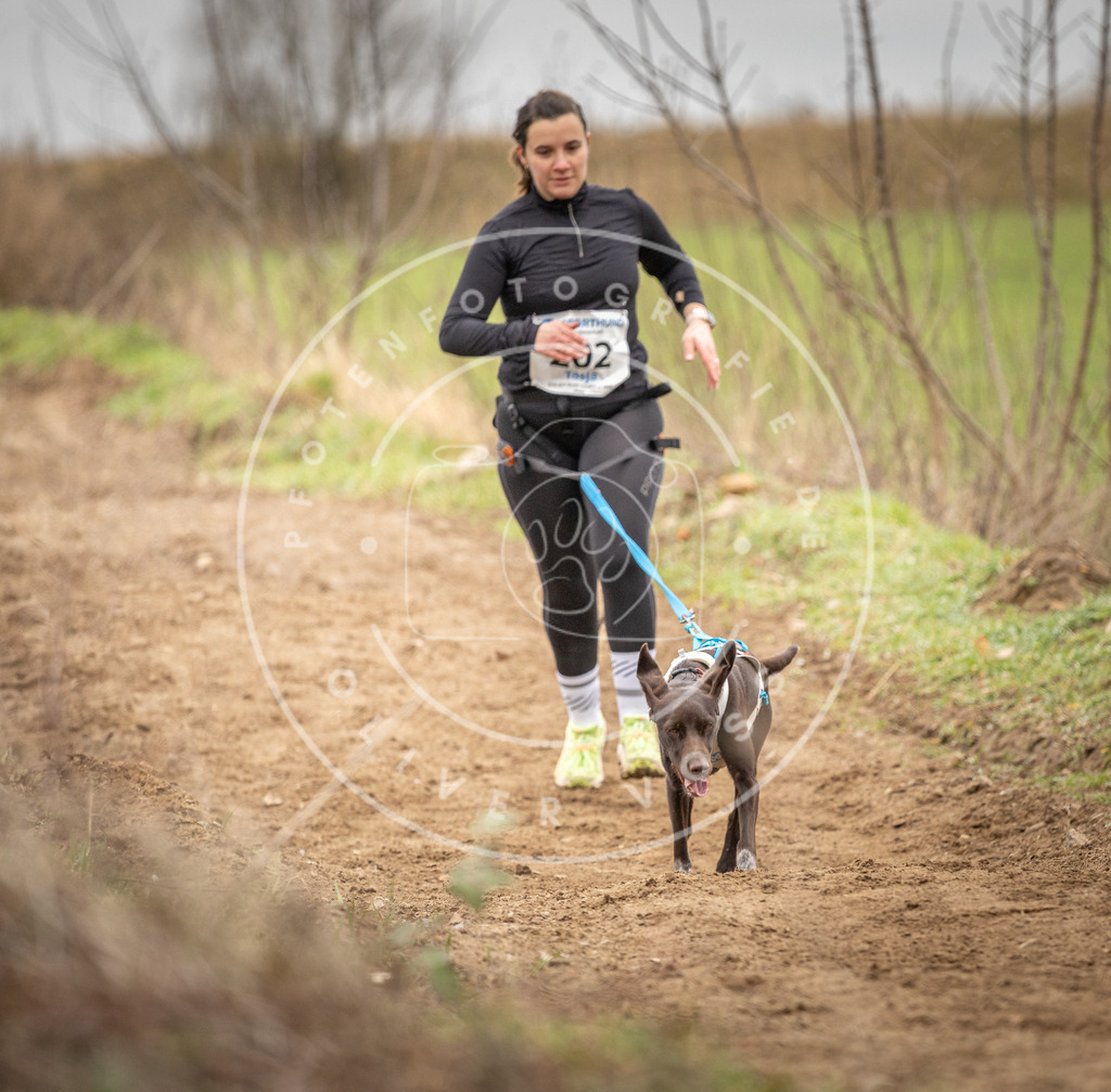 DV3A2505 | Hundefotografie, Tierfotograf, Pfotenfotografie, Fotoshooting Hund, Hunde Portrait, Hundesport, Hundeportraits, Heideshooting, Hunde, Sportfotograf, Hundefotograf, Turnierhundsport, THS,  - Realisiert mit Pictrs.com