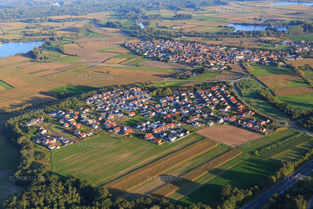 Luftbild: Ortsansicht von Westen im Ortsteil Hardtwald in Neupotz im Bundesland Rheinland-Pfalz in Deutschland. Foto: IMG_073127.jpg vom 23.09.2014 durch Werner Riehm/FLY-FOTO.deAuflösung des Originals: 5472 x 3648 px