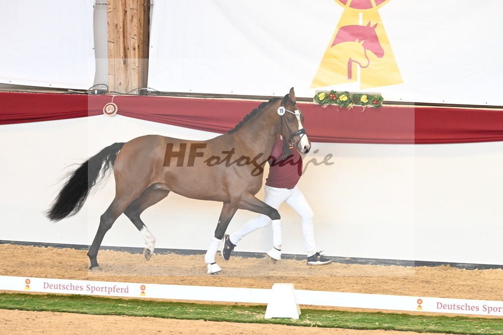 Kat.-Nr. 79 v. Valverde_Gaab_2241004 | hf-fotografie - Realisiert mit Pictrs.com