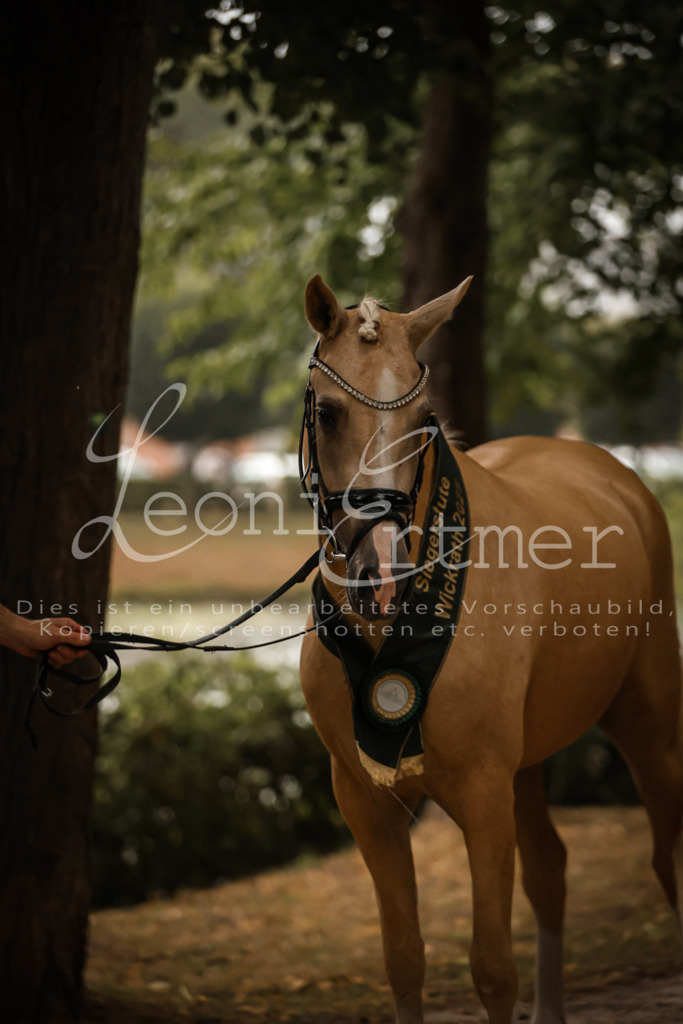 10.-12.Elite00173 | Leoni Ertmer Photography - Realisiert mit Pictrs.com