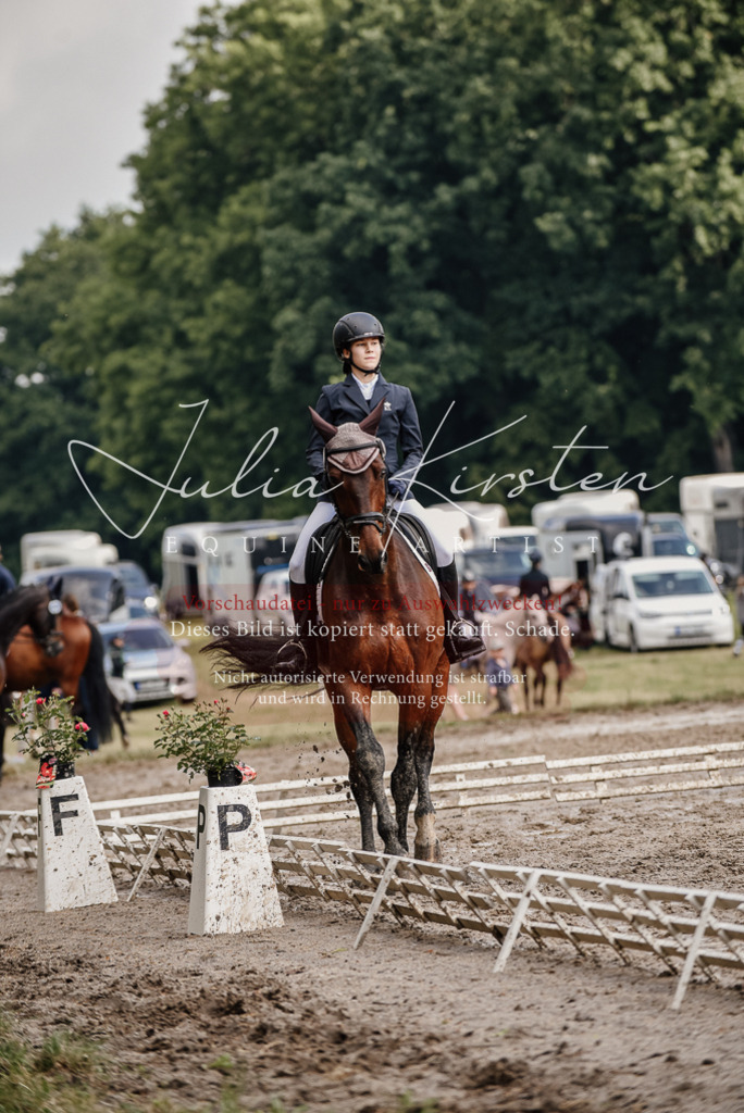 DSC_8664 | Pferde- und Turnierfotografie in Westsachsen. Pferdeportraits, Auftragszeichnungen und intuitive Kunst.