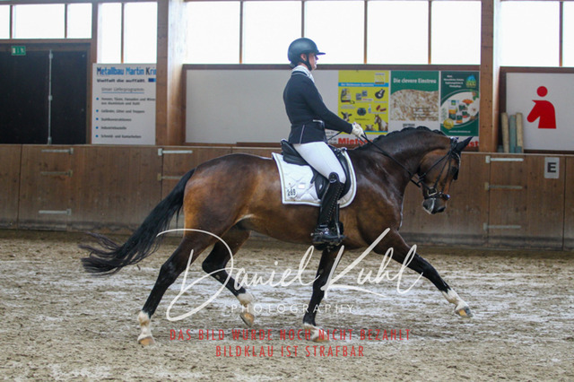 DKP43465 | Turniersportfotografie; Pferdefotografie; Dressurfotografie