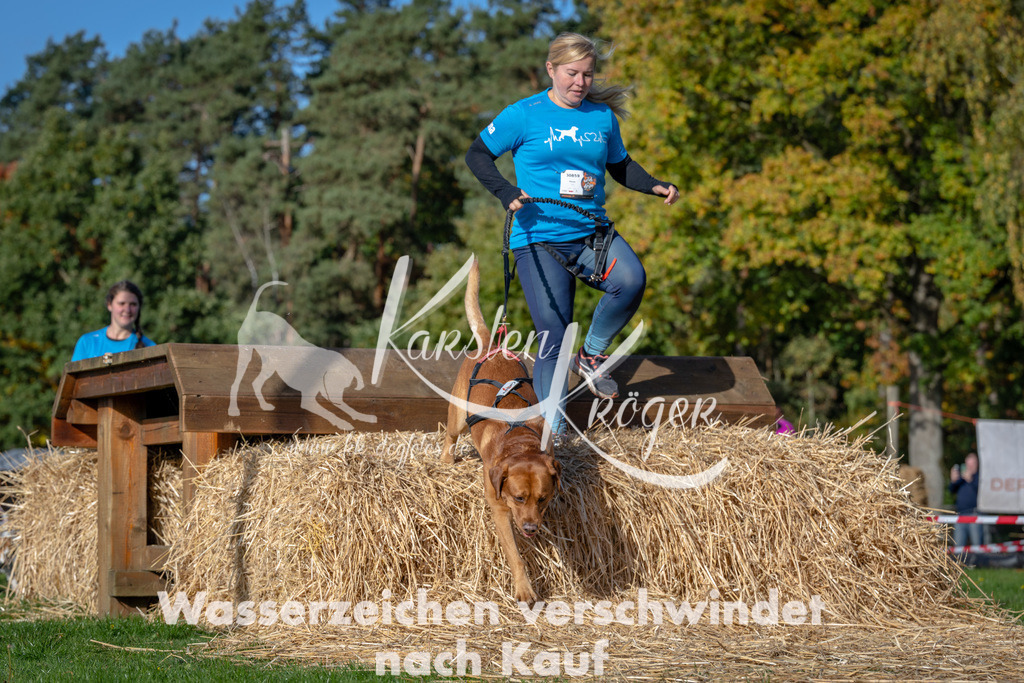 1049_ZZ91645 | kk-dogfotos