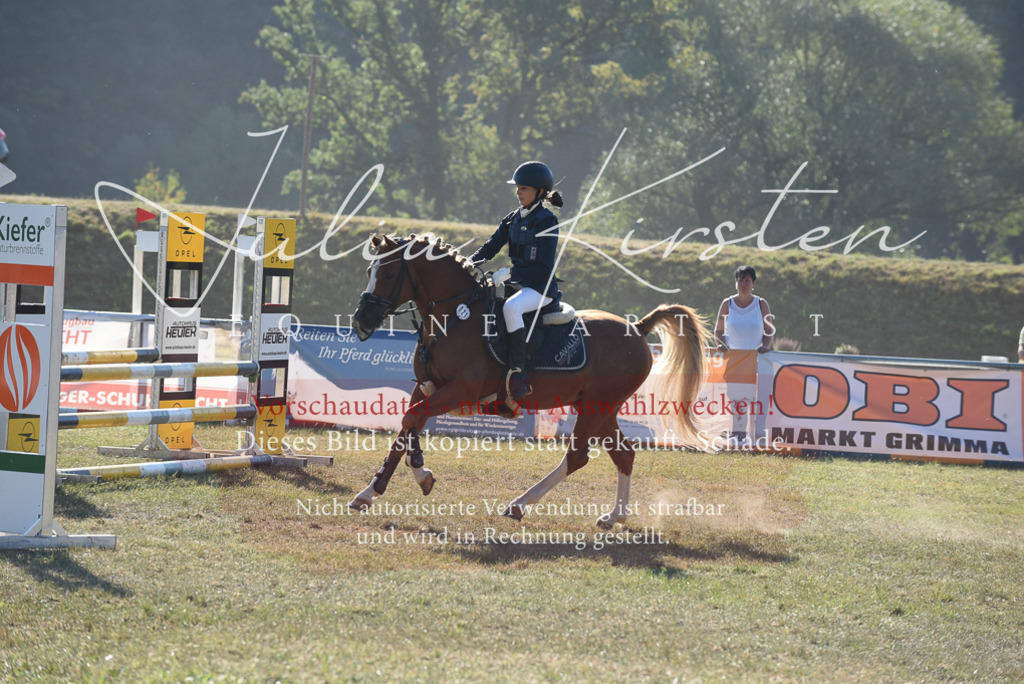 DSC_5660 | Pferde- und Turnierfotografie in Westsachsen. Pferdeportraits, Auftragszeichnungen und intuitive Kunst.