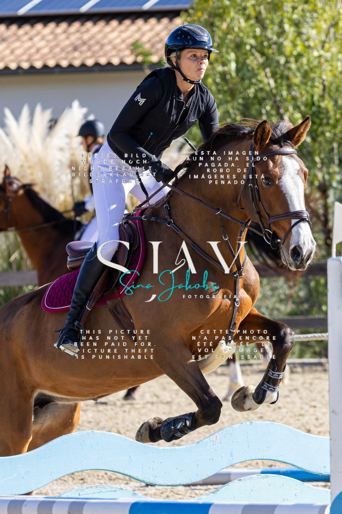 IMG_0758 | s-jay-photography - Realisiert mit Pictrs.com