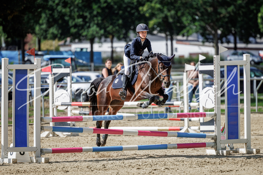 20260905-_3LI9229 | Tierfotografie Pferde, Hunde, Katzen, Haustiere.
Turnierfotografie Reitturniere, Reiten, Springreiten, Dressur in Hanau, dem Main-Kinzig-Kreis und dem Rhein-Main- Gebiet um Frankfurt