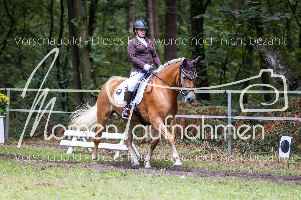 HB-Dressur-WB-081 | MomenTaufnahmen Pferdesportfotos