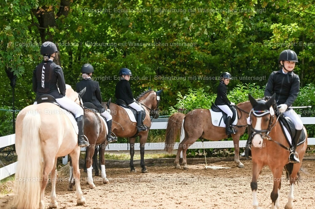 20230716_10-3_Reiter-WB Schritt - Trab - Galopp_0138 | equistock