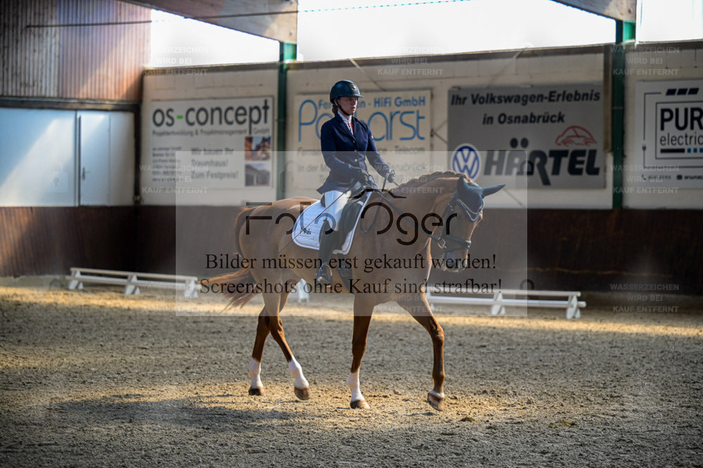 Reitturnier Voxtrup | Entdecke hochwertige Reitturnierfotos von Foto Oger. Professionell, emotional und authentisch – jetzt Lieblingsmomente im Shop bestellen. - Realisiert mit Pictrs.com