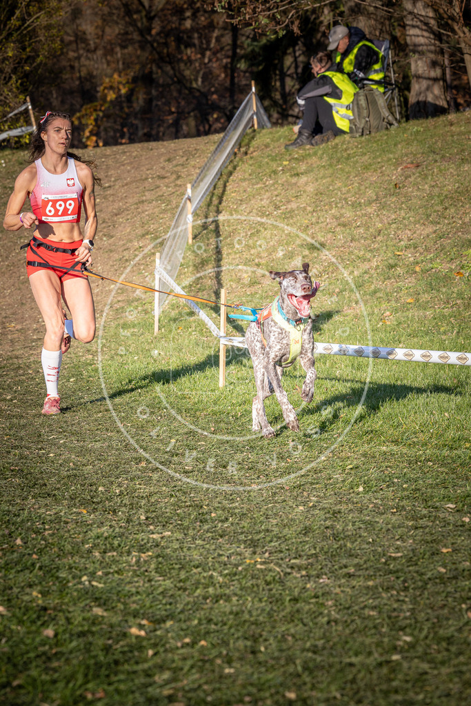 CaniXpix_0L8A9421 | Hundefotografie, Tierfotograf, Pfotenfotografie, Fotoshooting Hund, Hunde Portrait, Hundesport, Hundeportraits, Heideshooting, Hunde, Sportfotograf, Hundefotograf, Turnierhundsport, THS,  - Realisiert mit Pictrs.com