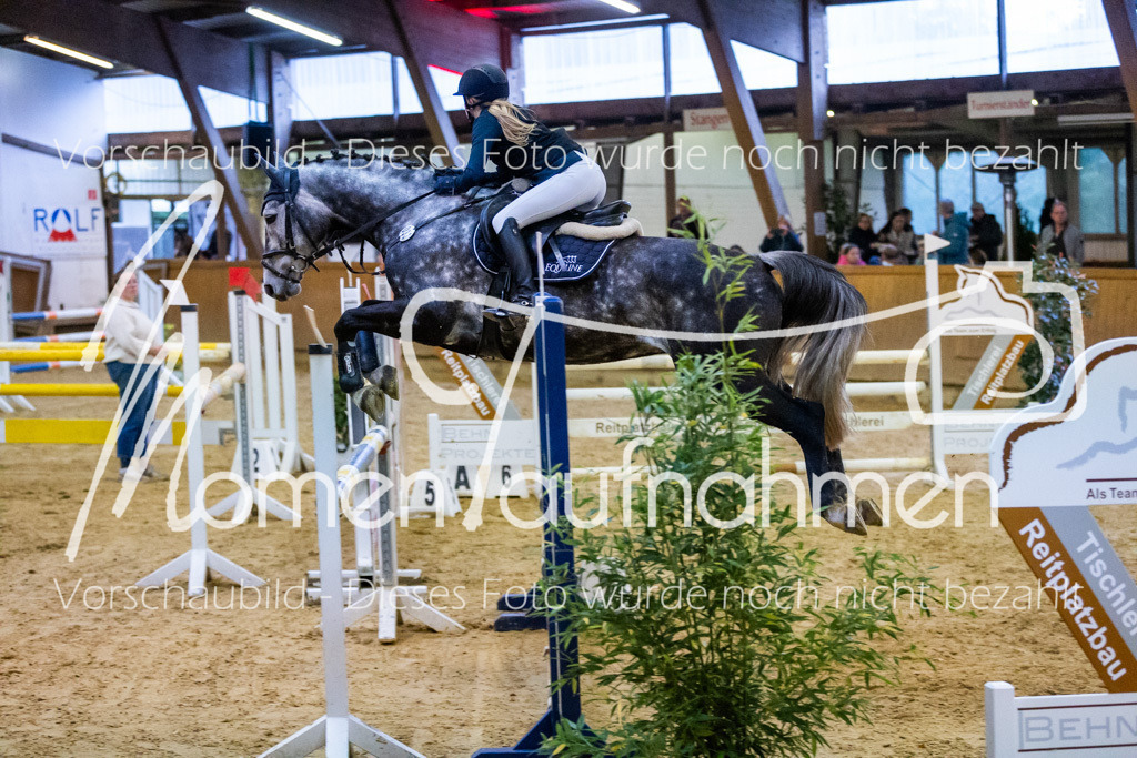 Sth-L-Springen-058 | MomenTaufnahmen Pferdesportfotos