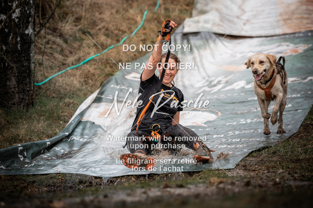 nelerasche_1000-1030_193 | nelerasche