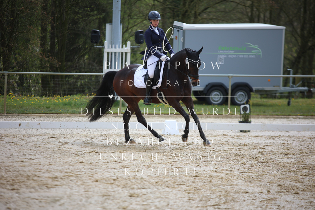 IMGT2662 | pl-fotografie